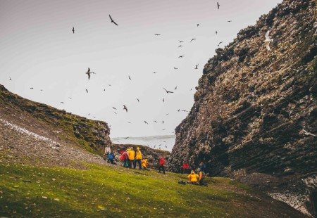 Expeditiereis Spitsbergen 10 Dagen Per  Ultramarine Quark Expeditions Birds DavidMerron