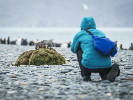 Falklands Zuid Georgia Antarctisch Schiereiland Oceanwide Expeditions