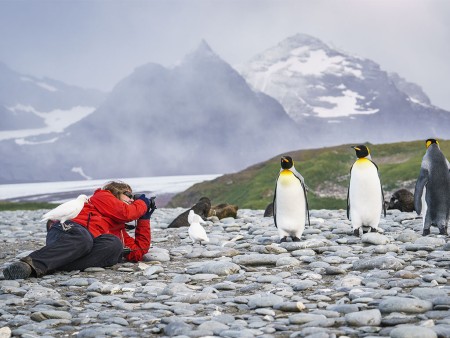 Falklands Zuid Georgia Antarctisch Schiereiland Oceanwide Expeditions