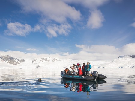 Falklands Zuid Georgia Antarctisch Schiereiland Oceanwide Expeditions