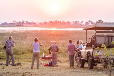 Game Drive Moremi Crossing Under One Botswana Sky