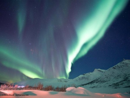 Gaute Bruvik Visitnorway Agena Tromso Noorderlicht