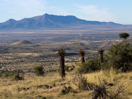 Graaff Reinet Camdeboo National Park