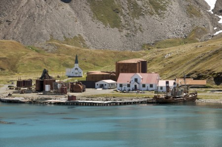 Grytviken Hurtigruten Dominic Barrington