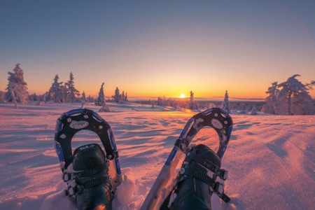 Harriniva Hotels %26 Safaris Snowshoes 4