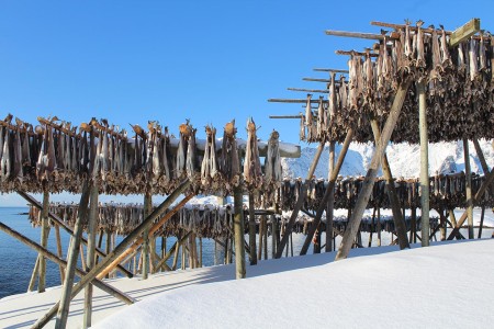 Havila Kystruten Lofoten Esther Baas 2