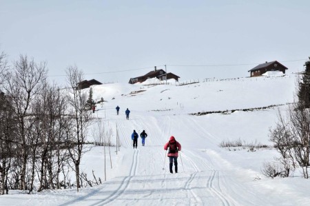 Havsdalsgrenda Winter Geilo