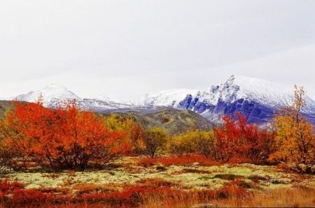 Herfstreis Rondane Gjestegard Anders Gjengedal  Innovation Norway 4