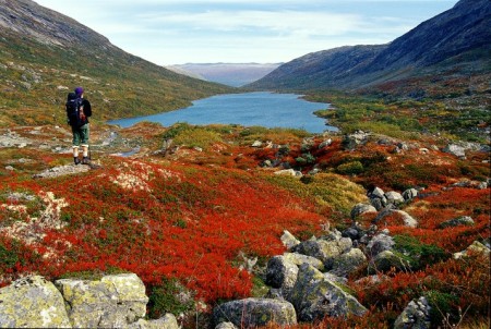 Herfstreis Rondane Gjestegard Anders Gjengedal  Innovation