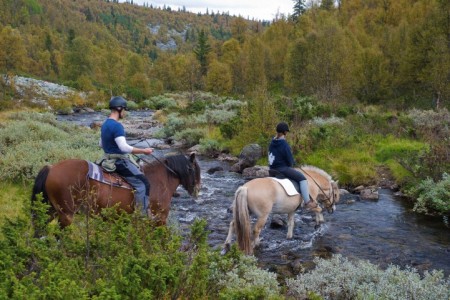 Herfstreis Rondane Gjestegard Dovre CH Innovation