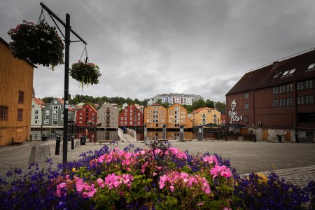 Hurtigruten Bergen Kirkenes Oscar Farrera Trondheim