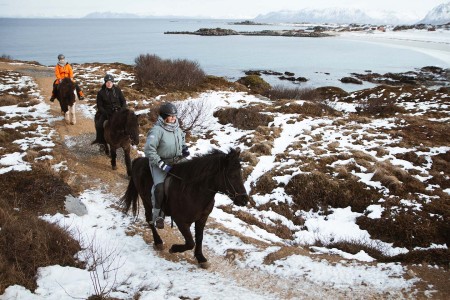 Hurtigruten Excursies Bronnoysund Svolvaer Hov Gard