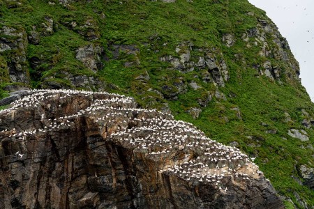 Hurtigruten Excursies Oksfjord Berlevag Andrea Klaussner