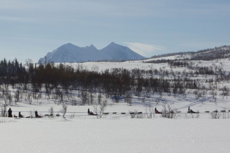 Hurtigruten Excursies Stokmarknes Skjervoy Bill Saint