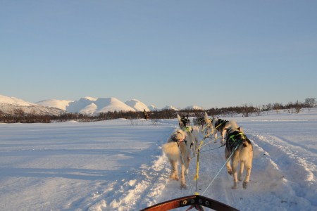 Hurtigruten Excursies Stokmarknes Skjervoy Rudolf Rapp