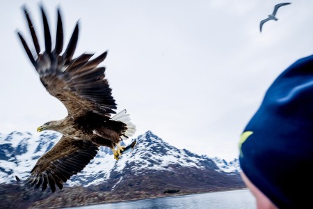 Hurtigruten Excursies Tromso Stamsund Trym Ivar Bergsmo 1