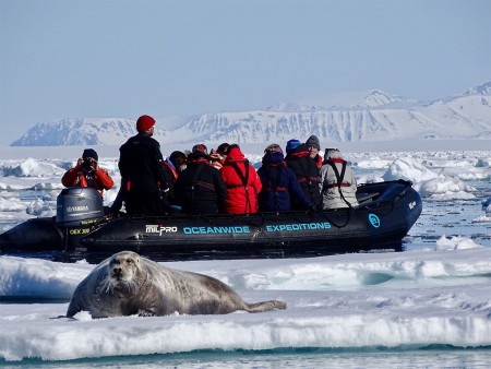 IJsbeer Reis Spitsbergen Oceanwide Expeditions 5