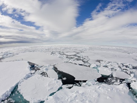IJsberen Reis Spitsbergen Oceanwide Expeditions
