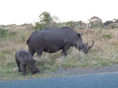 Isimangaliso St Lucia Wetlands Park 03