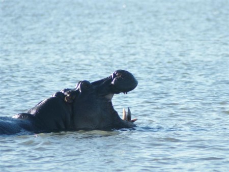 Isimangaliso St Lucia Wetlands Park 05