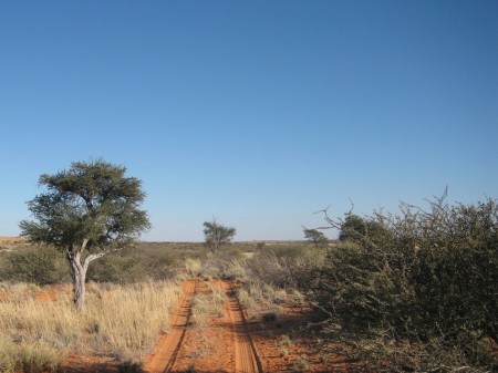 Kalahari 902a
