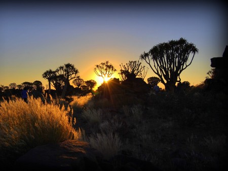 Keetmanshoop Mesosaurus Fossile Camp