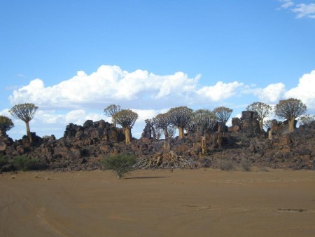 Keetmanshoop Mesosaurus Fossile Camp