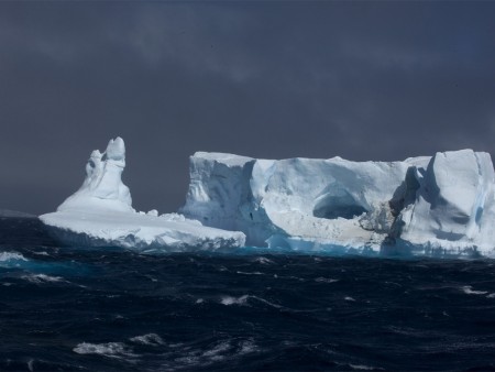 Keizerspinguin Expeditie Weddellzee Oceanwide Expeditions