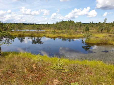 Kemeri Nationaal Park Highlights Norge Reiser