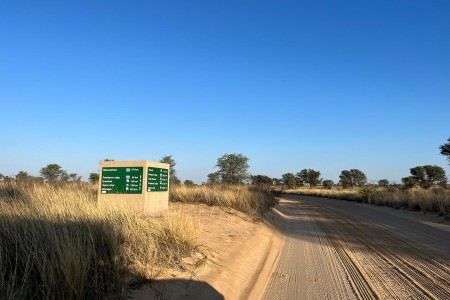 Kgalagadi Nossob Mabuasehube Afslag 1