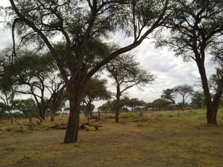 Khwai Community Camp 07