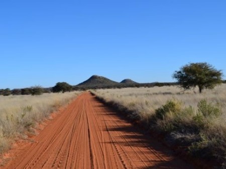 Kimberley Mokala National Park