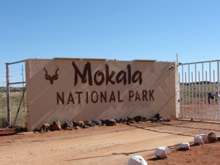 Kimberley Mokala National Park