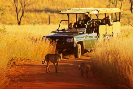 Kololo Game Reserve Safari Welgevonden