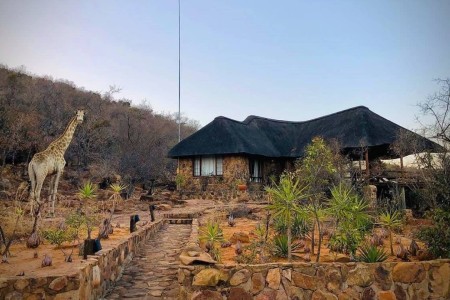 Kololo Game Reserve Villa Giraffe