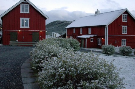 Kongsvold Fjeldstue Dovrefjell Muskusos