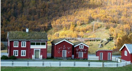 Kongsvold Fjeldstue Dovrefjell Muskusos