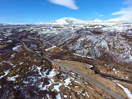 Kongsvold Fjeldstue Dovrefjell Muskusos