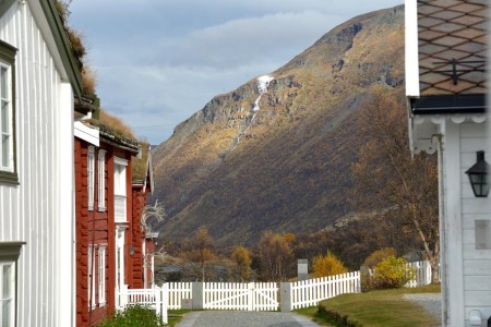 Kongsvold Fjeldstue Dovrefjell Muskusos