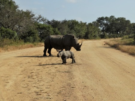 Krugerpark