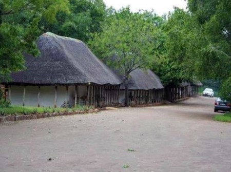 Krugerpark  Punda Maria 01