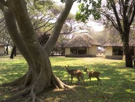 Krugerpark Letaba Restcamp 01