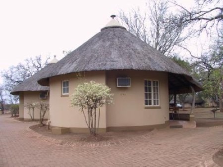 Krugerpark Satara 01