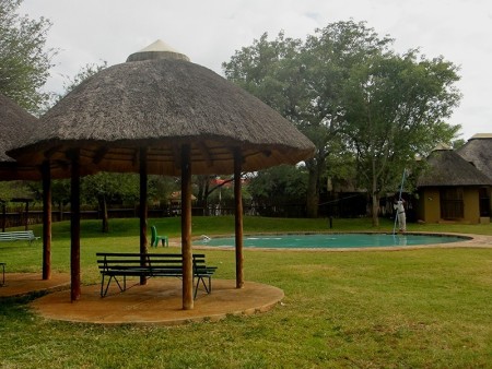 Krugerpark Satara 04
