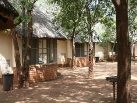 Krugerpark Satara 05