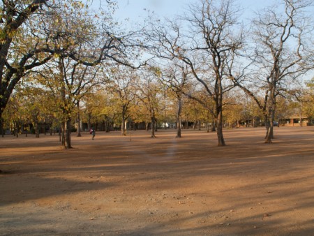 Krugerpark Shingwedzi