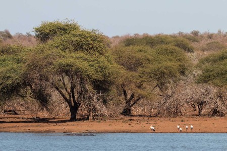 Krugerpark Suid Afrika Reise Ramon Lucas