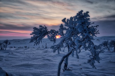 Lapland Winteravontuur Pollux Nuorgam 5