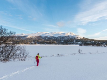 Lemonsjoe Fjellstue Og Hytter Jotunheimen