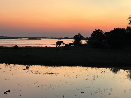 Lower Zambezi Zambia1